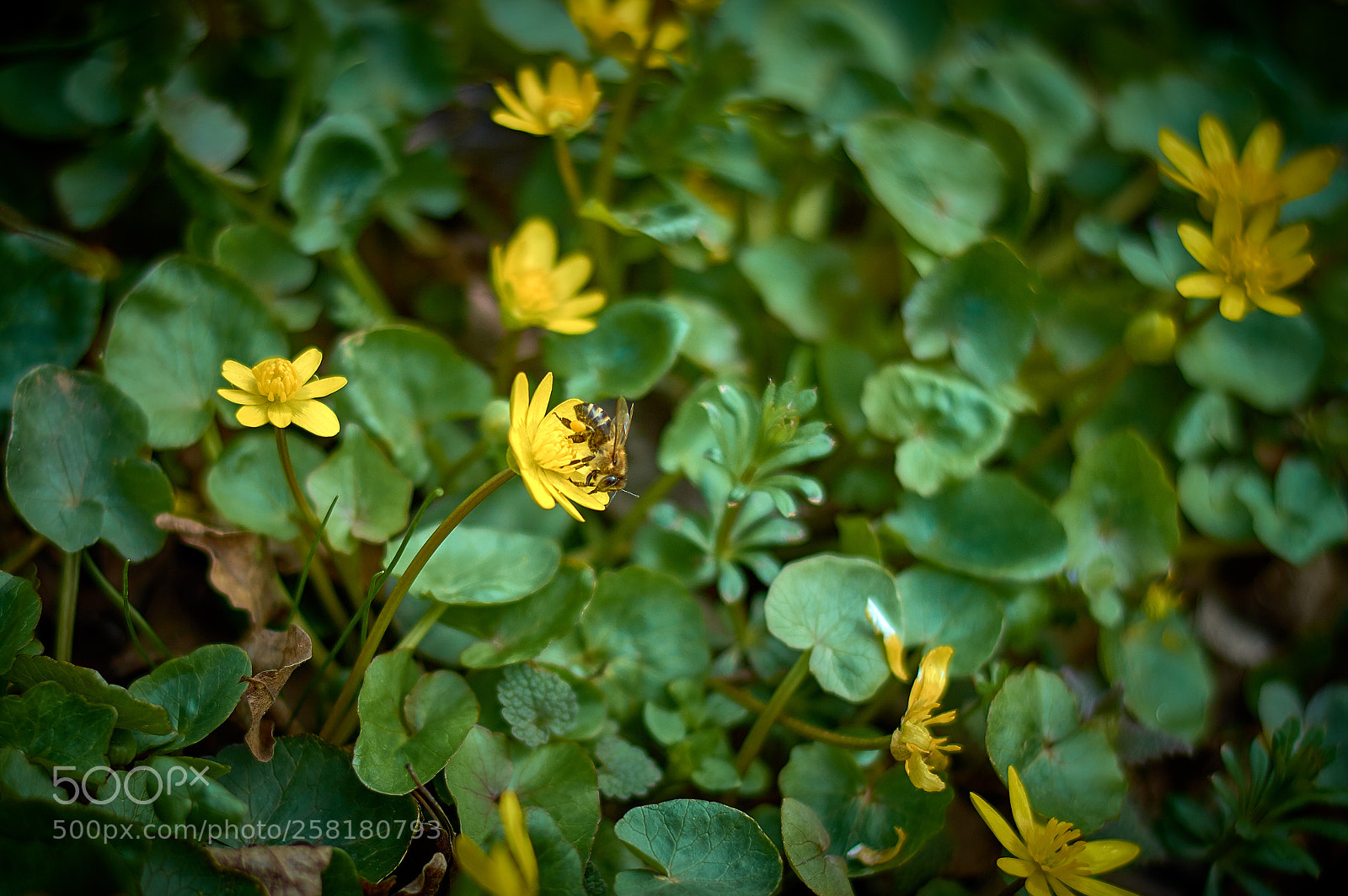 Nikon D3200 sample photo. Untitled photography