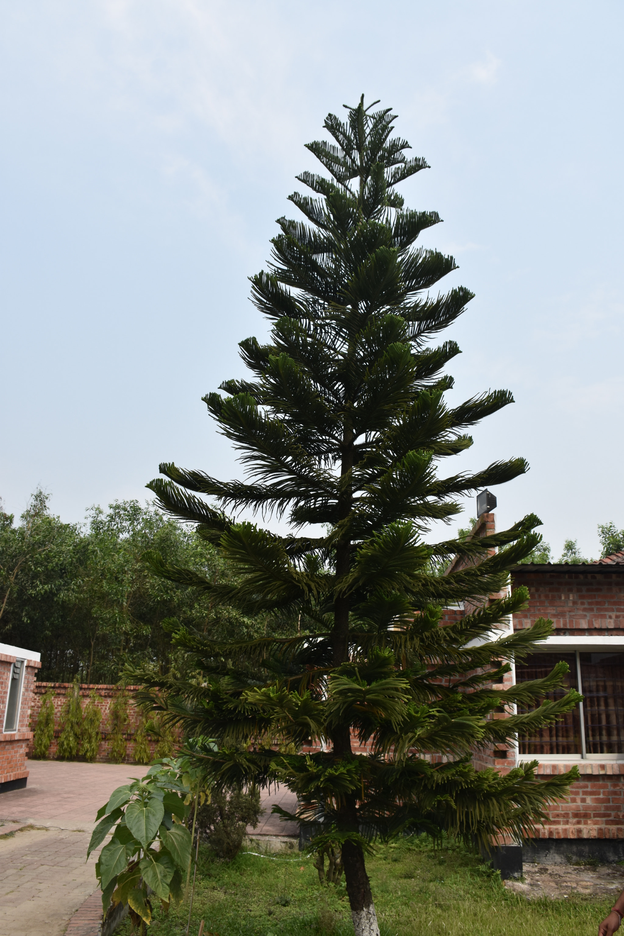 Nikon D7200 sample photo