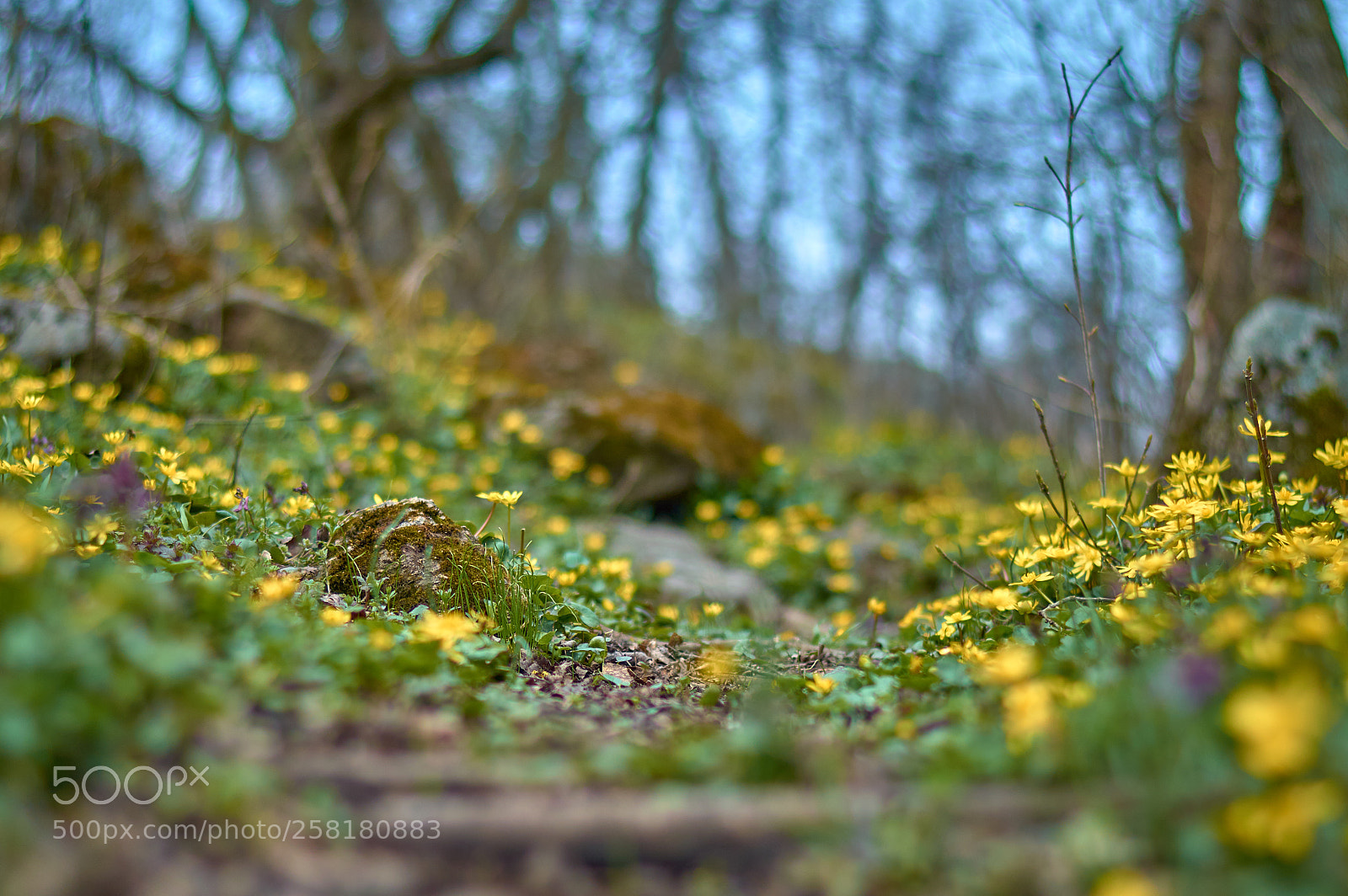 Nikon D3200 sample photo. Untitled photography