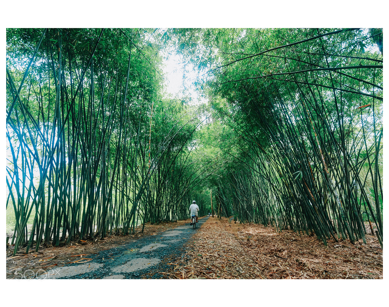Canon EOS 6D sample photo. Img photography