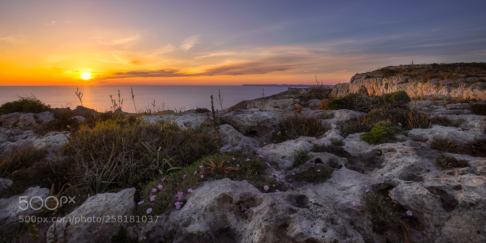 Nikon D5300 sample photo. Sunset at dingli cliffs photography