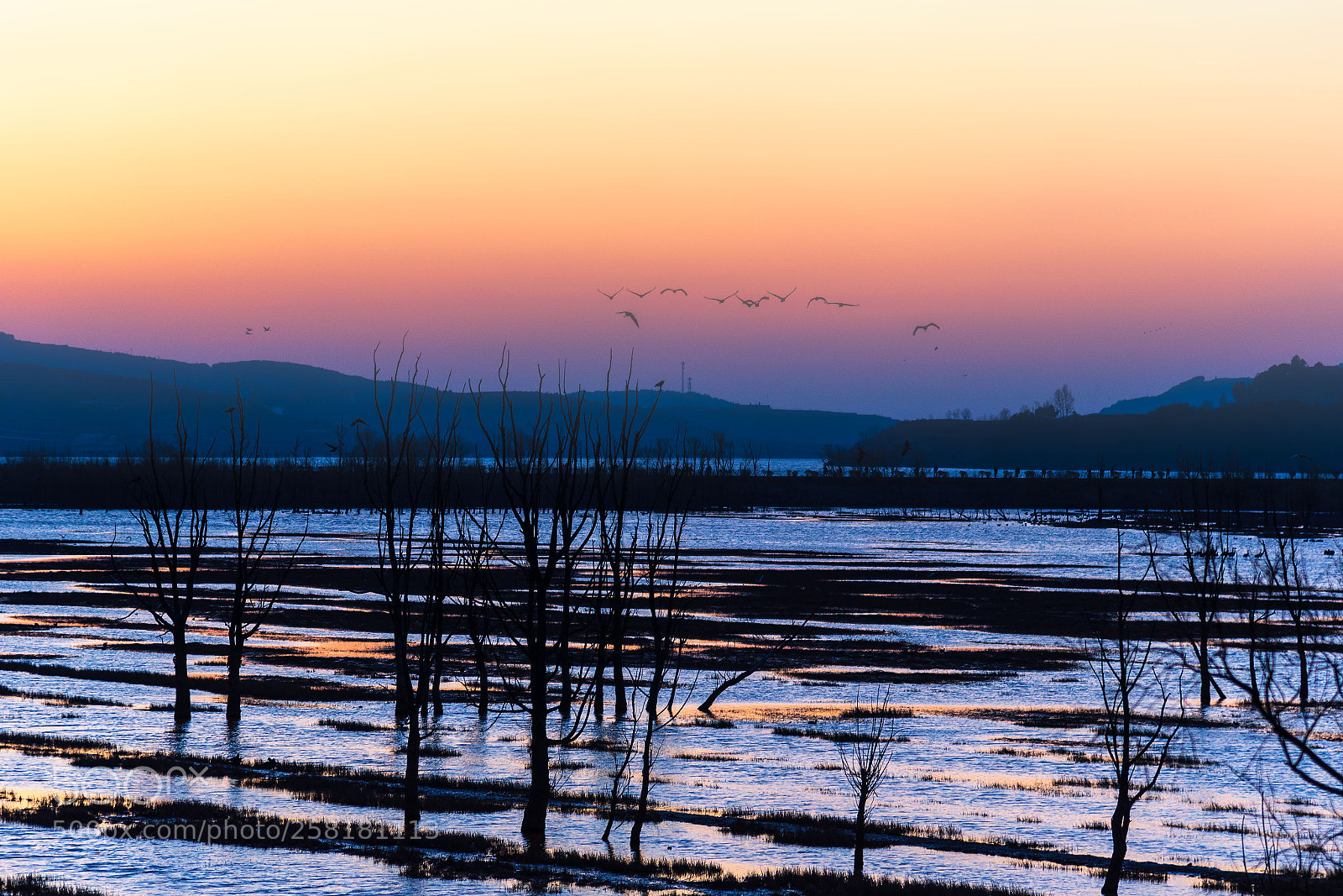 Nikon D750 sample photo. 晨曦（dawn） photography