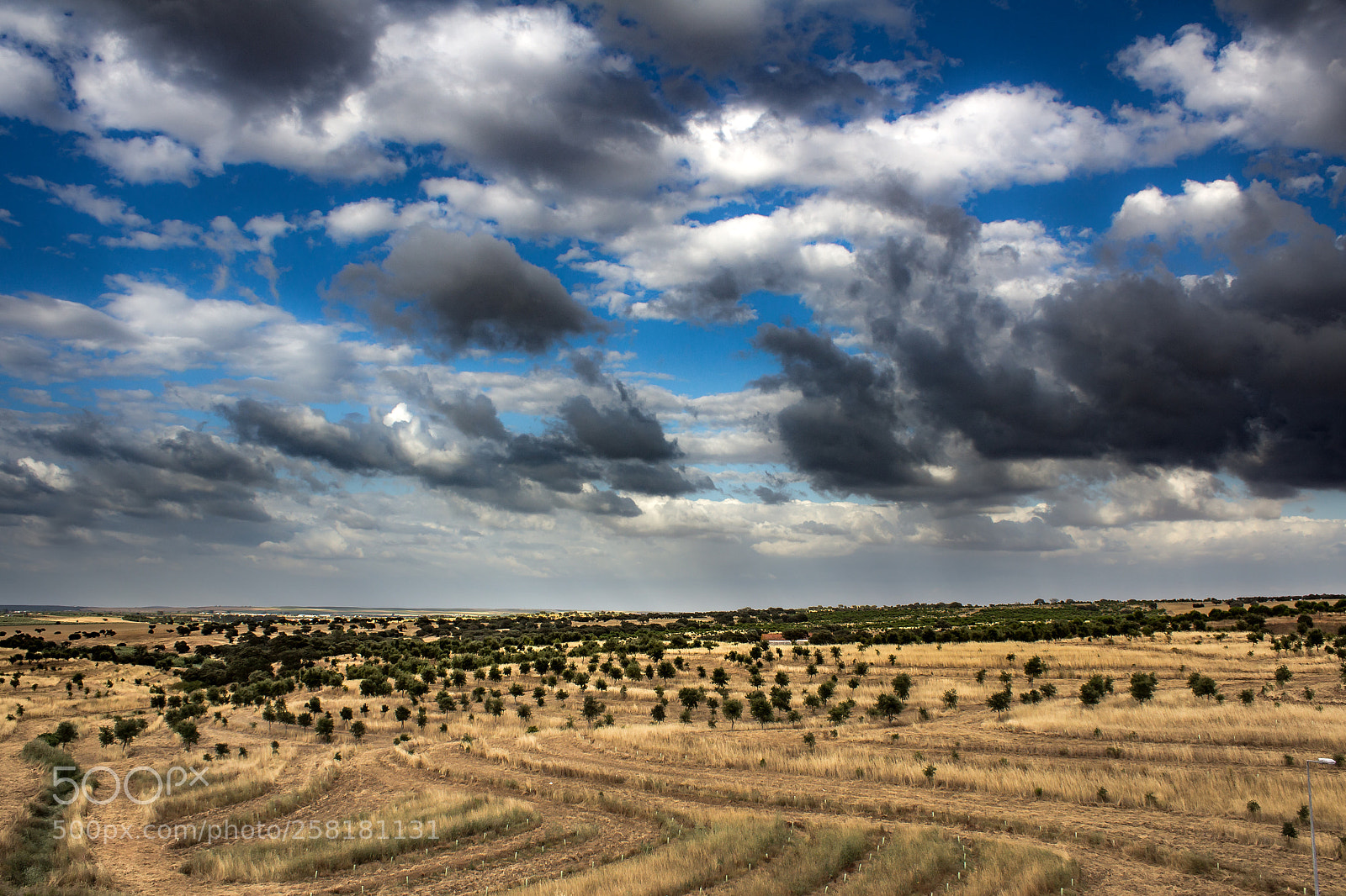 Canon EOS 600D (Rebel EOS T3i / EOS Kiss X5) sample photo. Alentejo, portugal photography