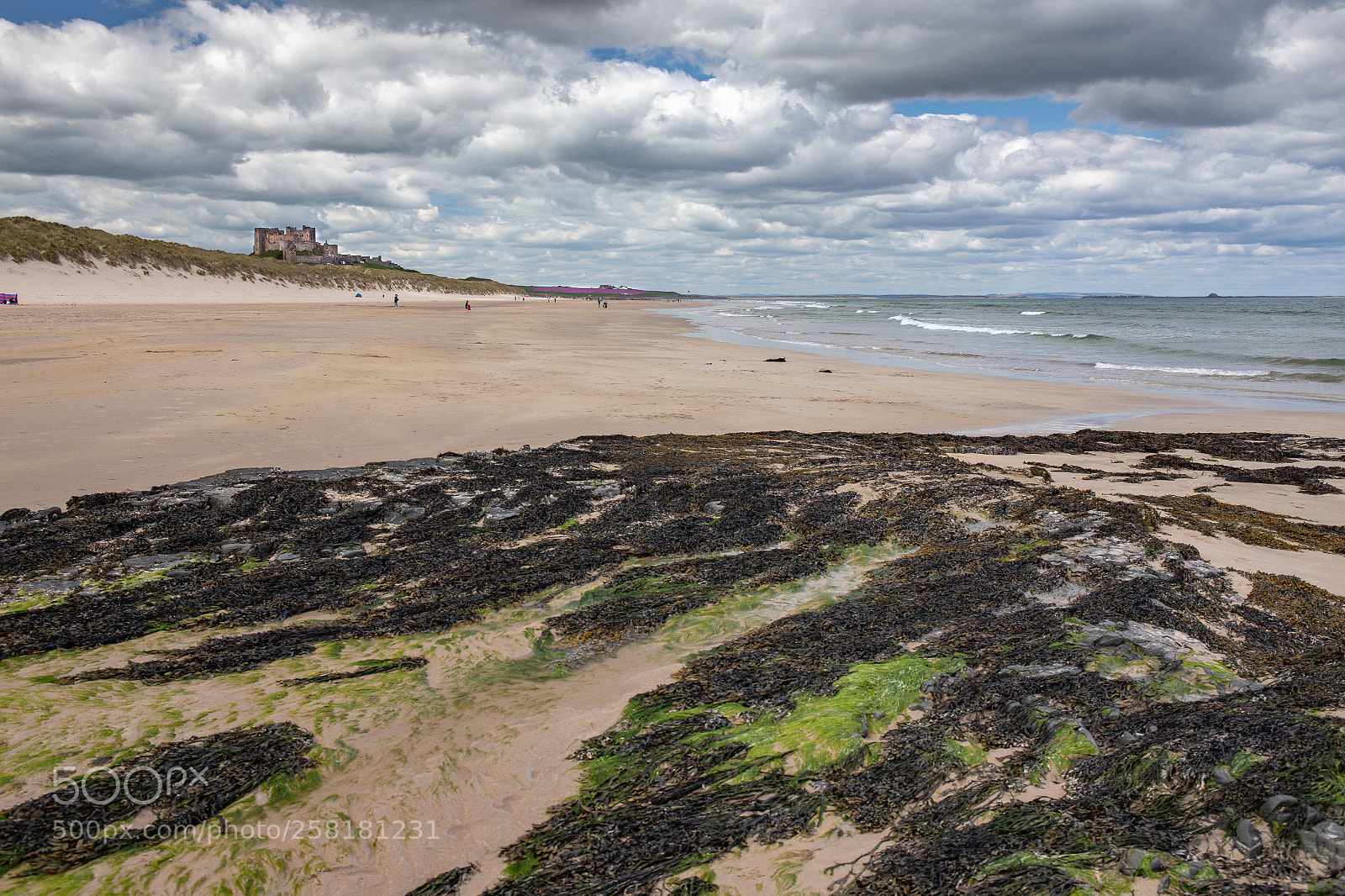 Canon EOS 6D sample photo. Bamburgh castle photography