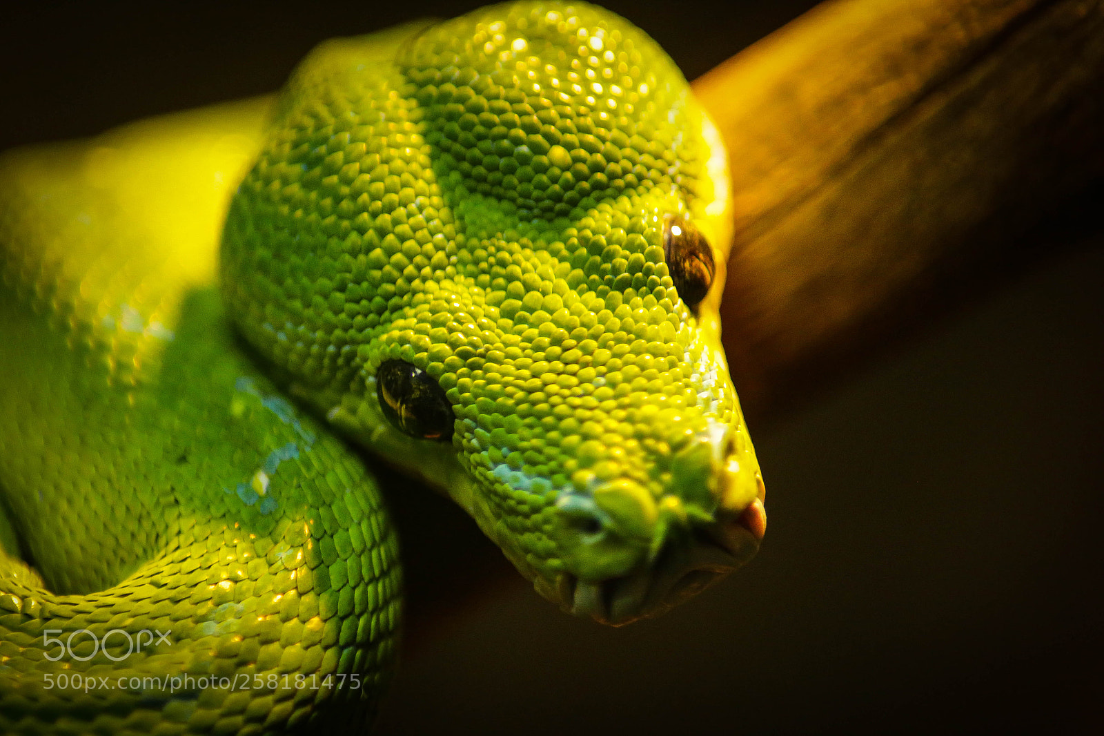 Canon EOS 6D sample photo. Img photography
