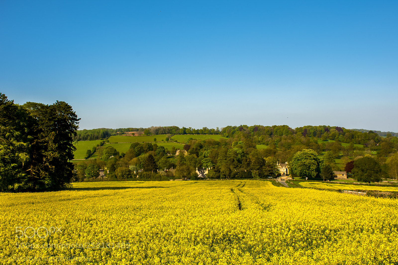 Nikon D7200 sample photo. Untouched beauty photography