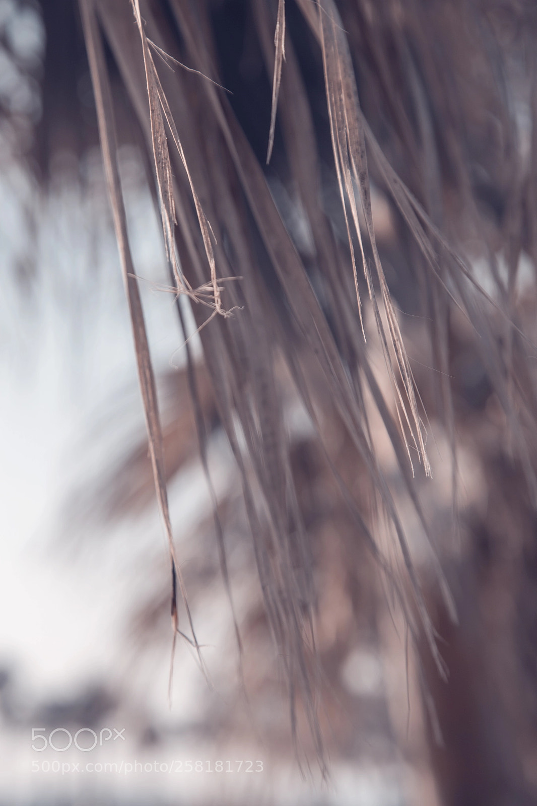 Canon EOS 6D sample photo. Summer photography