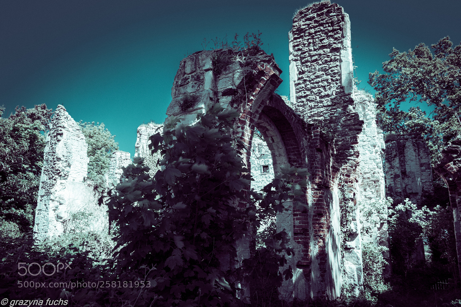 Nikon D3300 sample photo. Betchworth castle photography