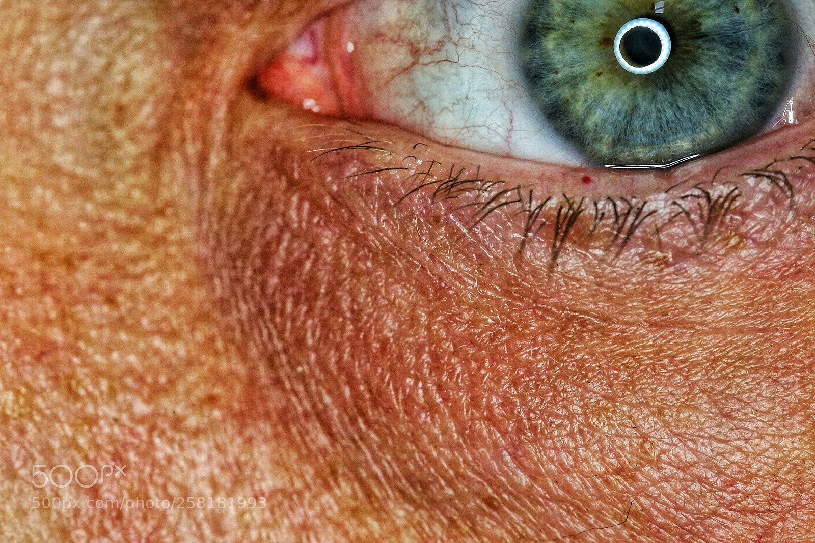 Canon EOS 6D sample photo. Macro eye selfies are photography