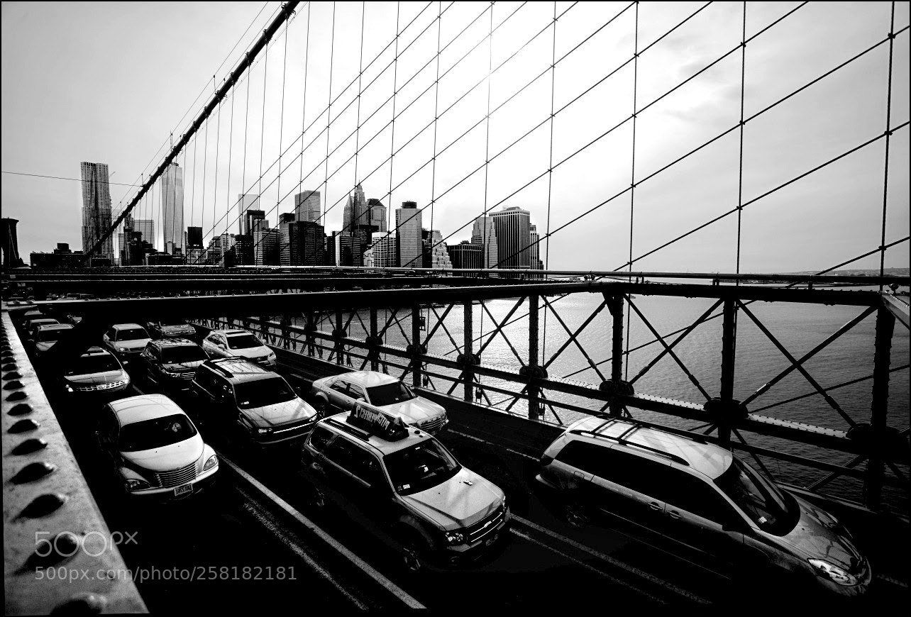 Canon EOS 5D Mark II sample photo. Blooklyn inverted photography