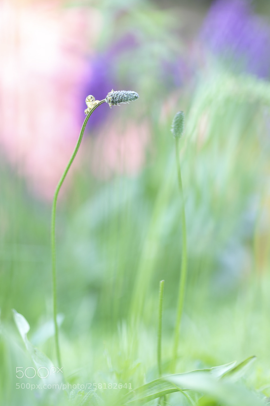 Canon EOS 6D Mark II sample photo. Leaving photography