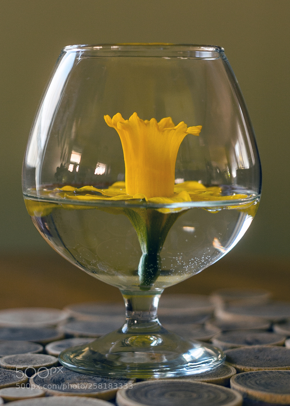 Canon EOS 40D sample photo. Spring in a glass photography