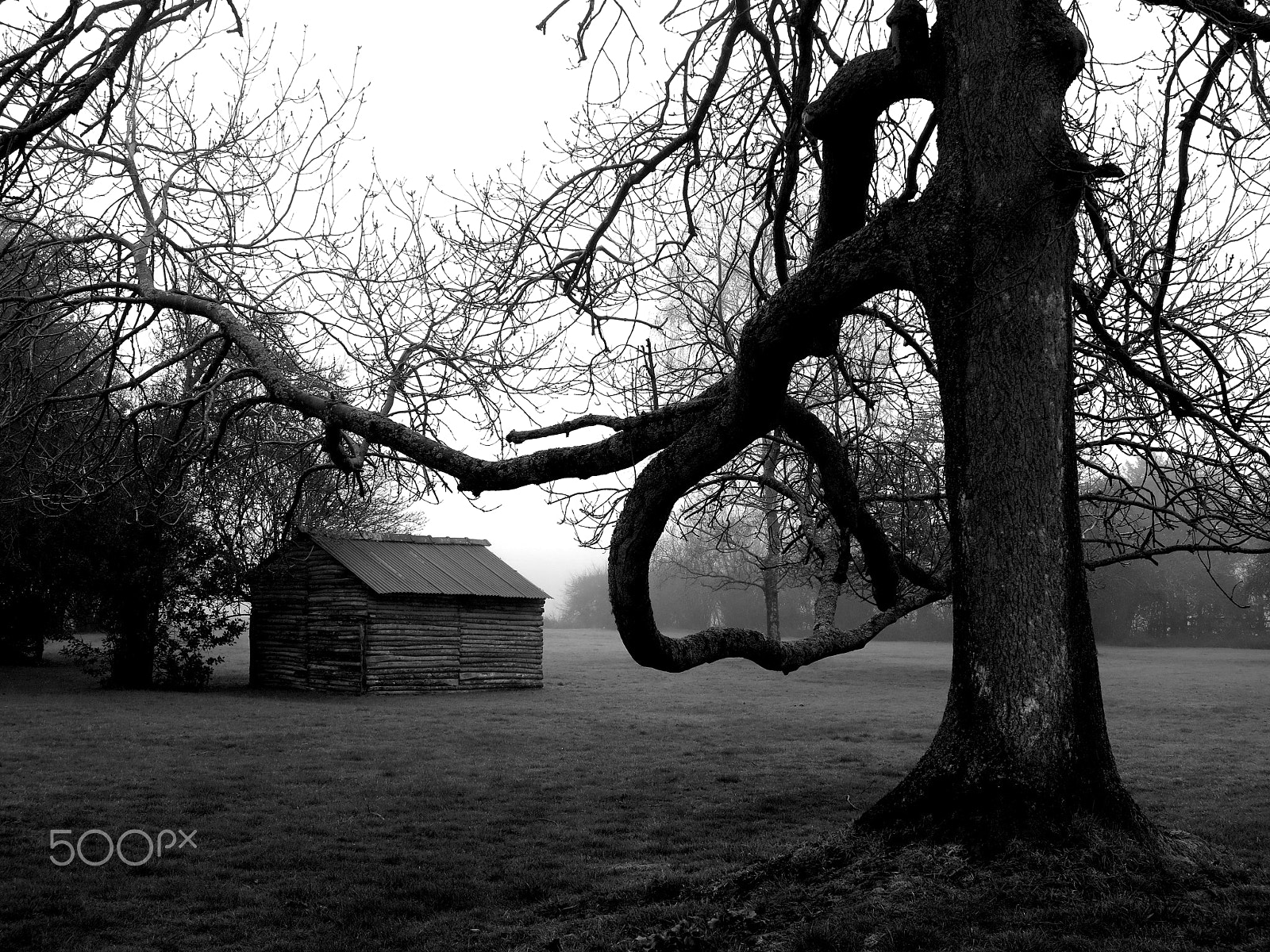 Canon PowerShot G1 X sample photo. The woodcutters hut photography