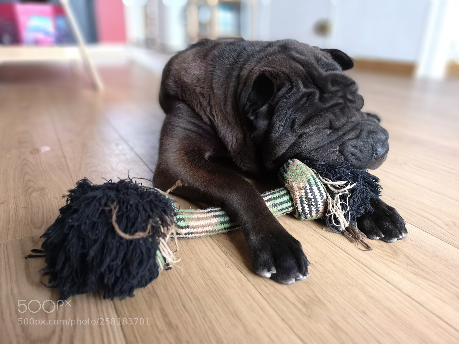 HUAWEI CLT-L29 sample photo. Je grignote photography