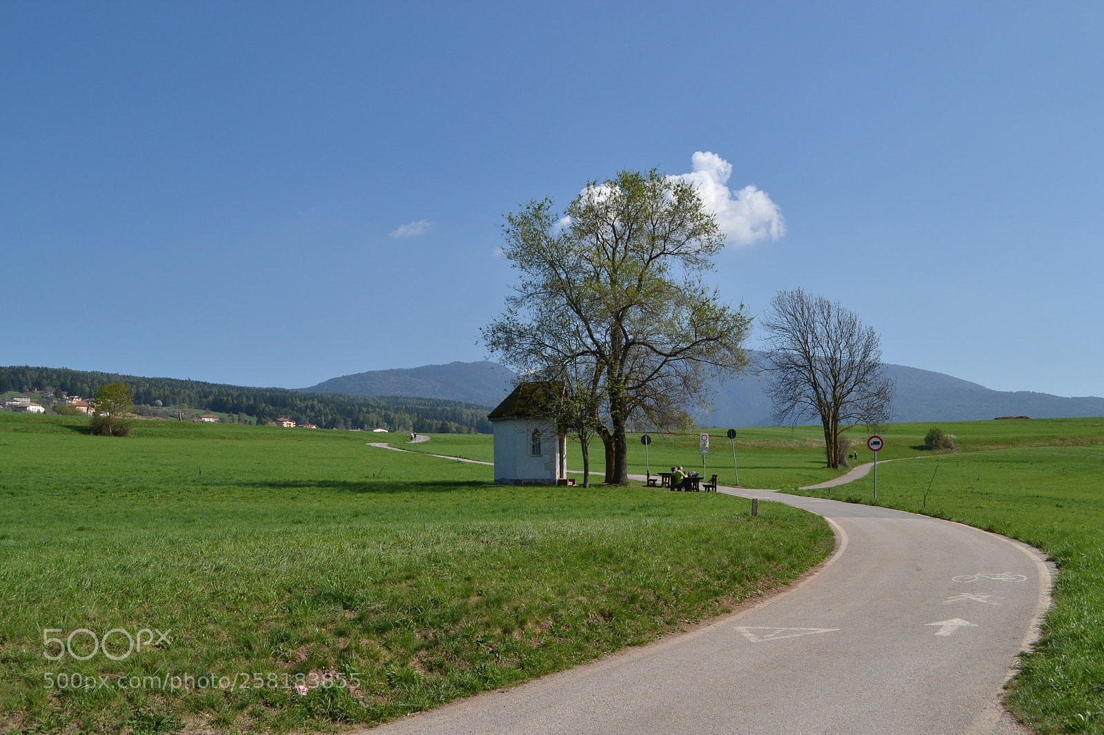 Nikon D3100 sample photo. Sunny day photography