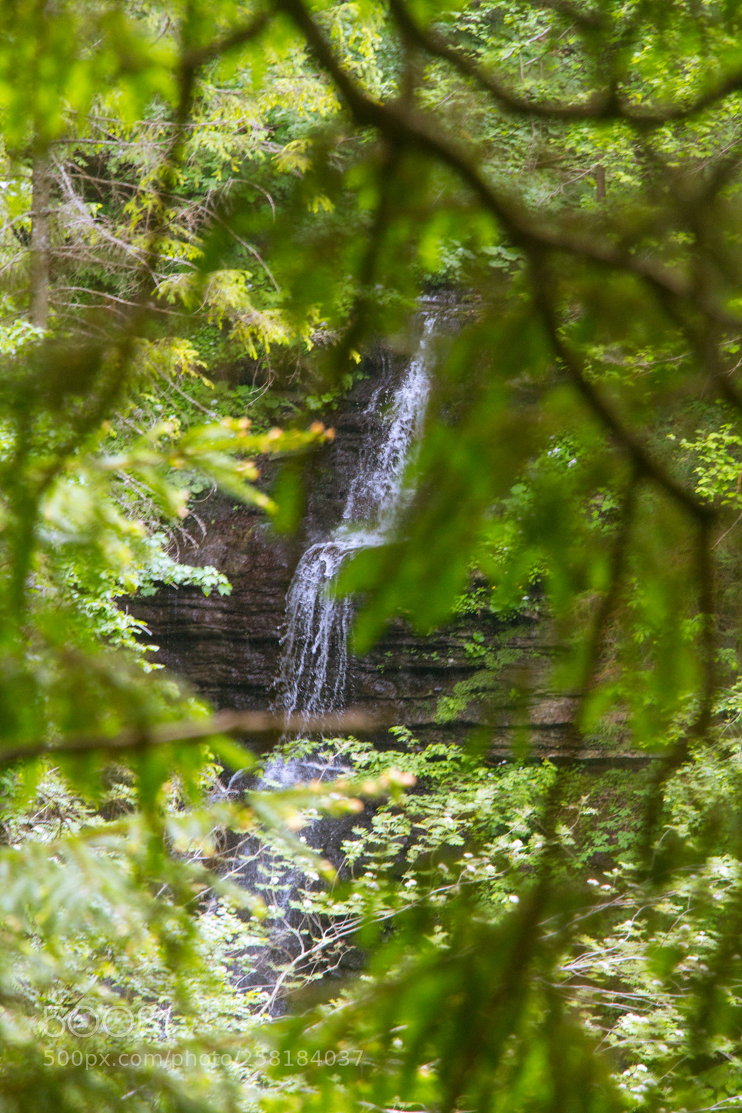 Canon EOS 7D sample photo. Waterfall "lazny" photography