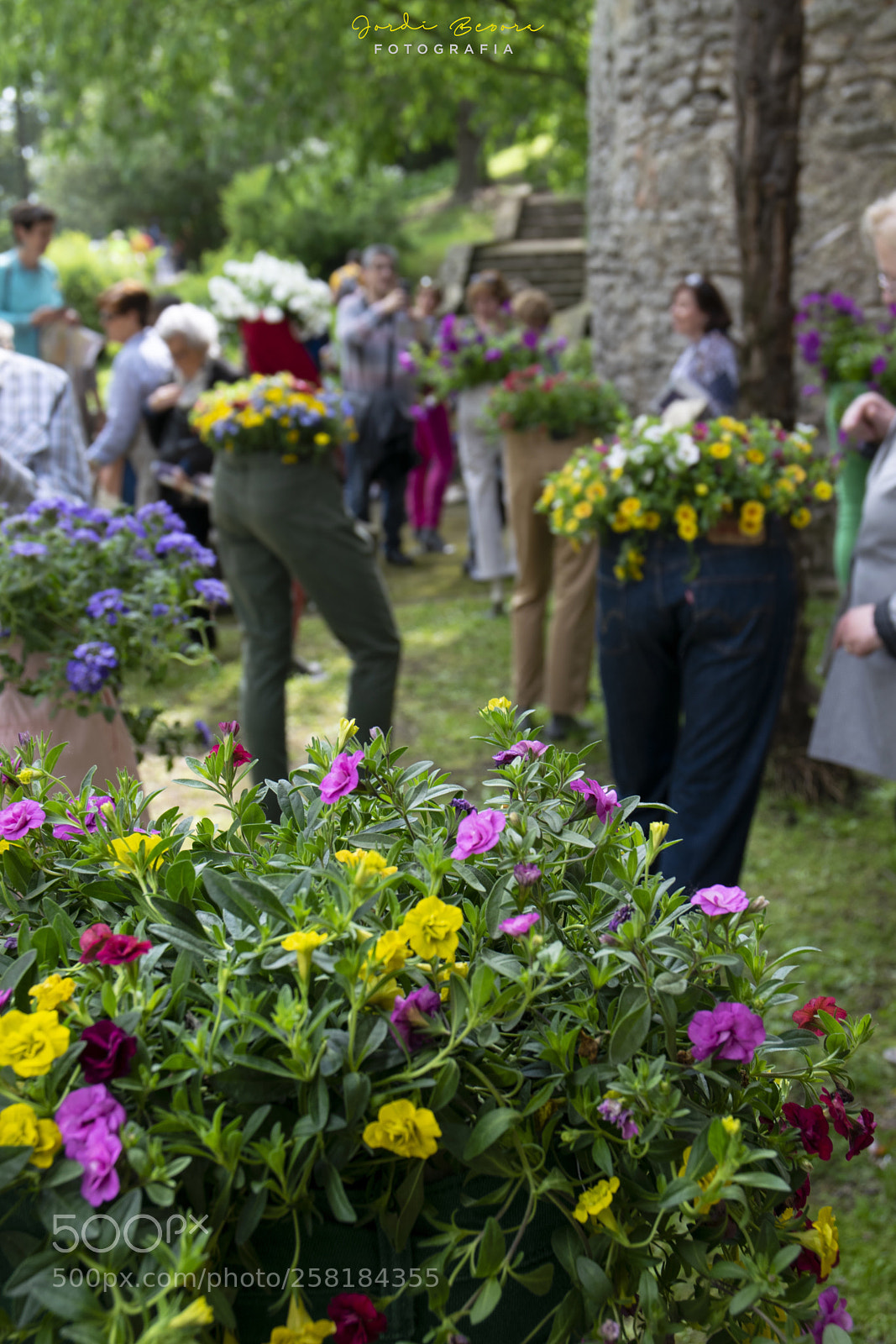 Nikon D5300 sample photo. Girona temps de flors photography