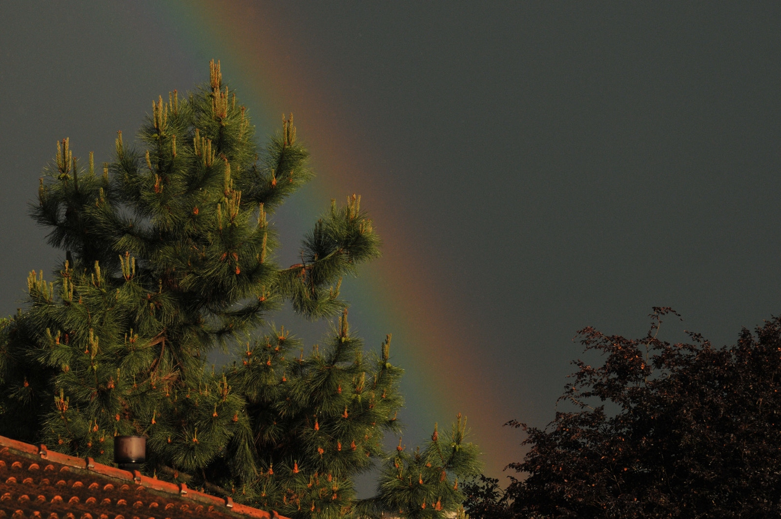 Nikon D300 sample photo. Rainbow photography