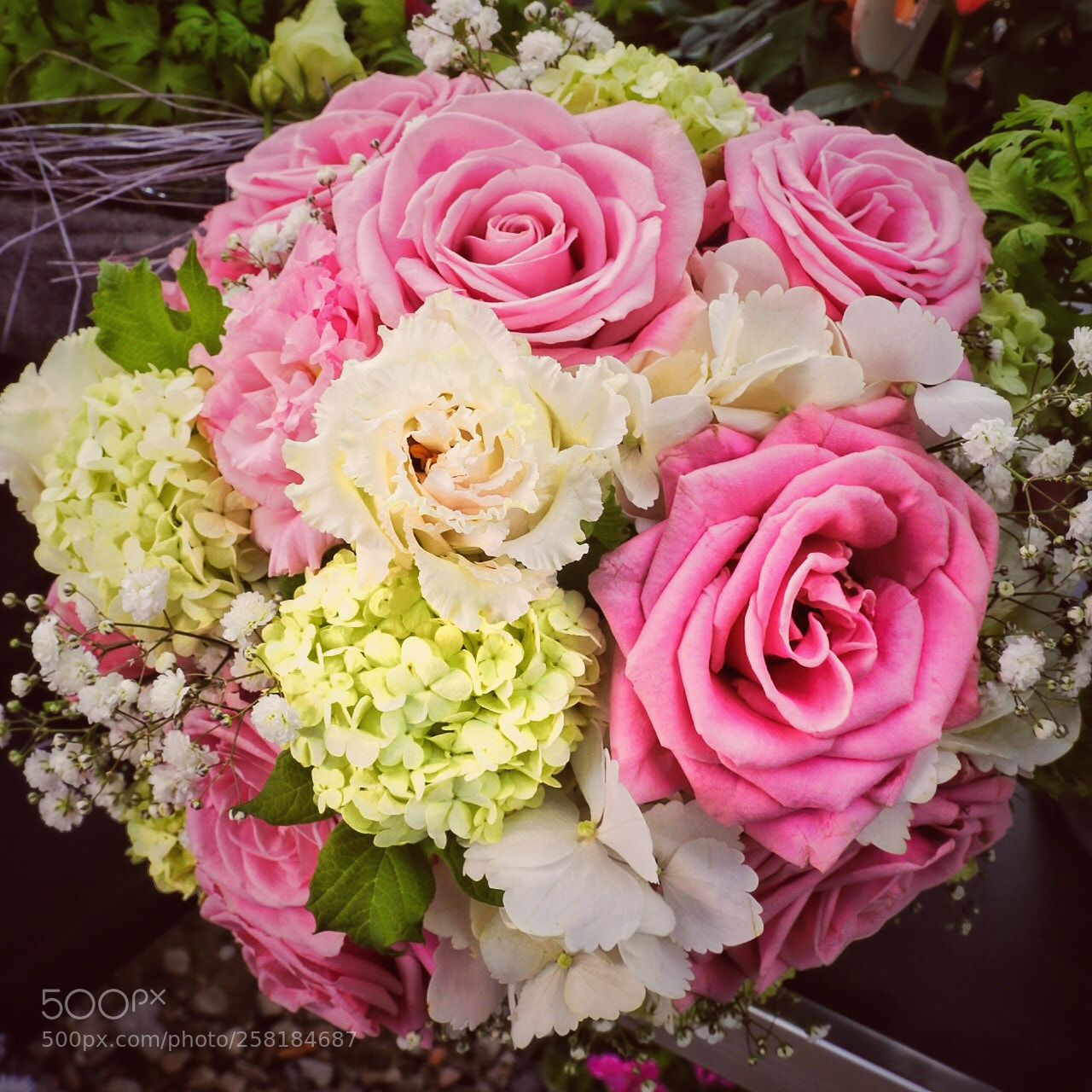 Canon EOS 6D sample photo. Flower photography