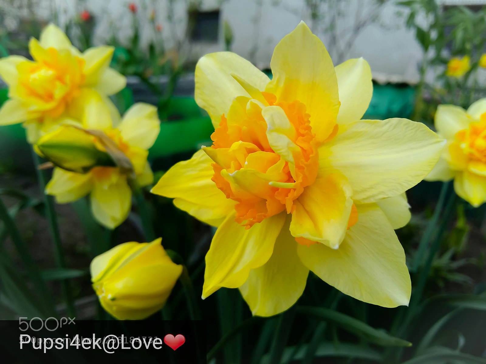 Samsung Galaxy A5 sample photo. Untitled photography
