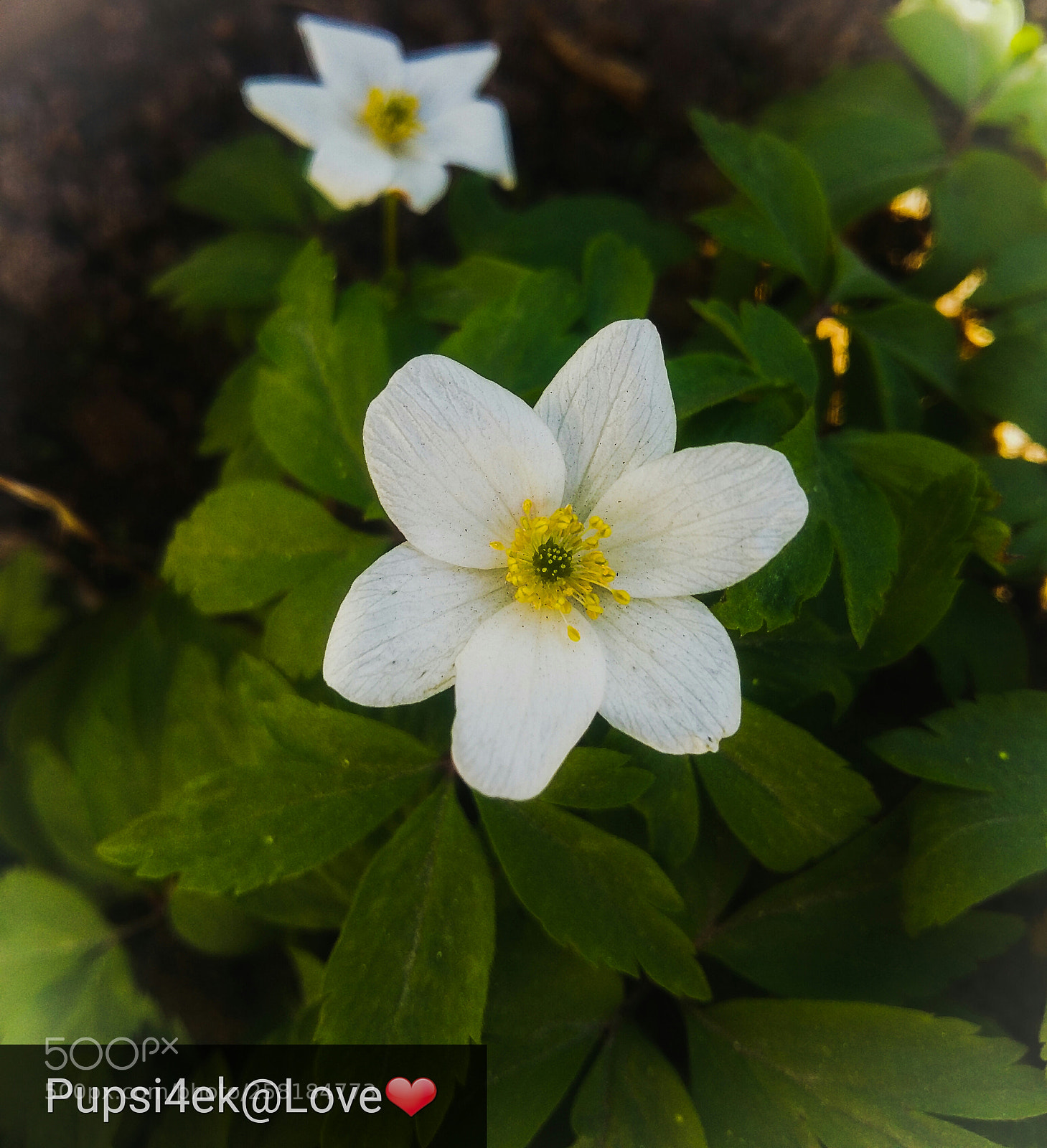 Samsung Galaxy A5 sample photo. Untitled photography