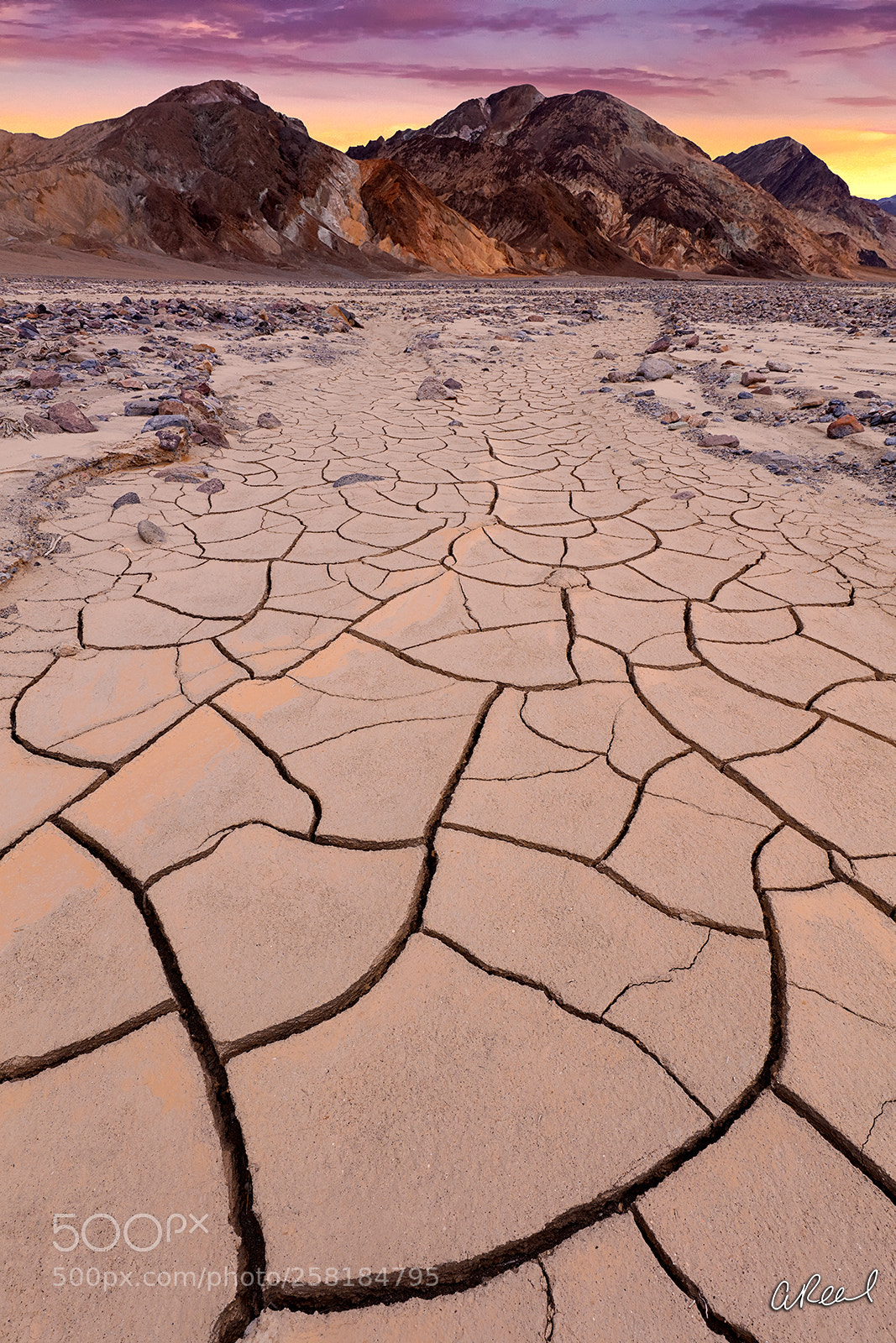 Canon EOS 5DS R sample photo. Thirsty photography
