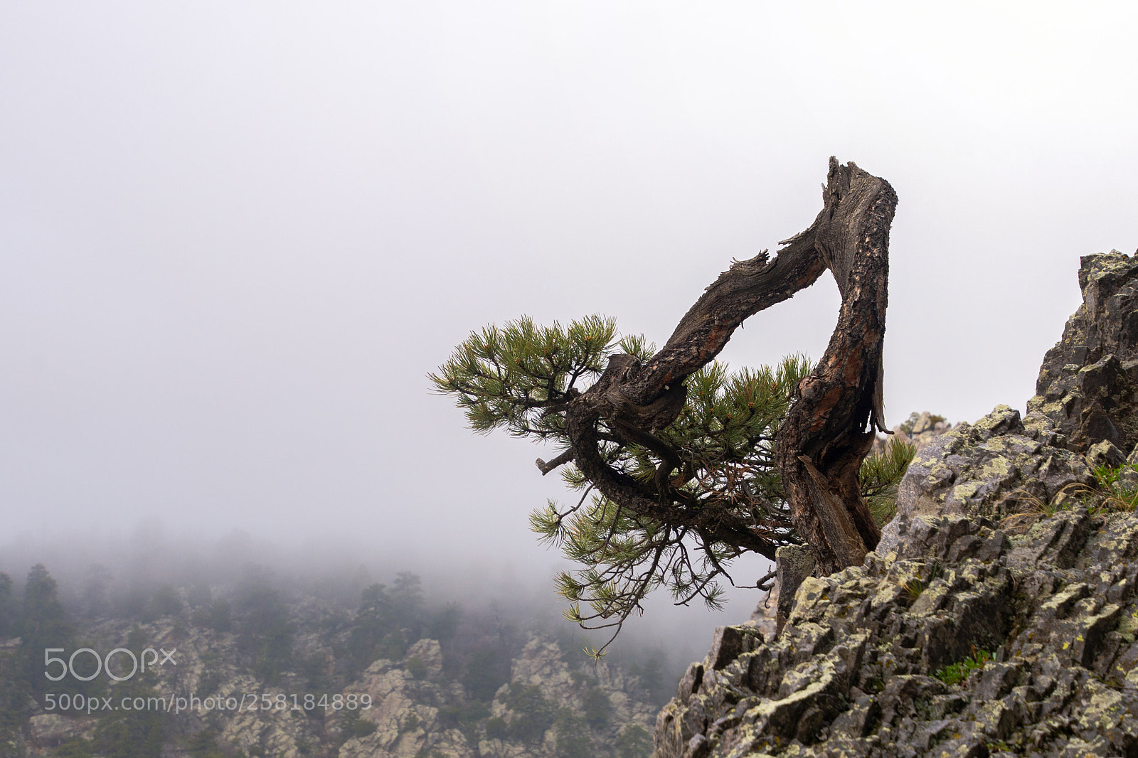 Nikon D610 sample photo. Storm worn photography