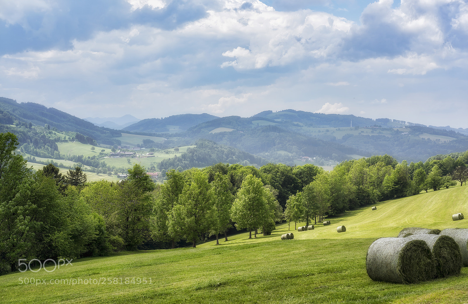 Nikon D810 sample photo. Hay day in may photography