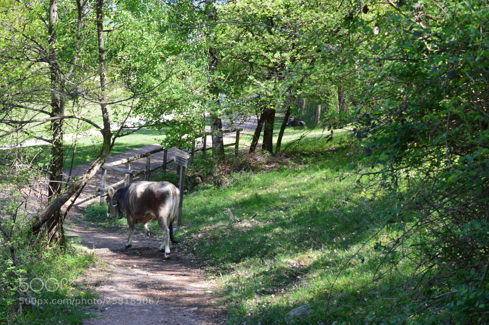 Nikon D3200 sample photo. Tourguide photography