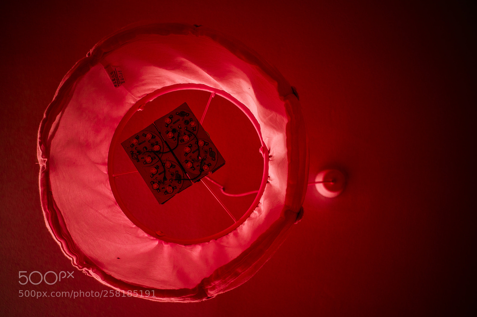 Nikon D5300 sample photo. Red photography