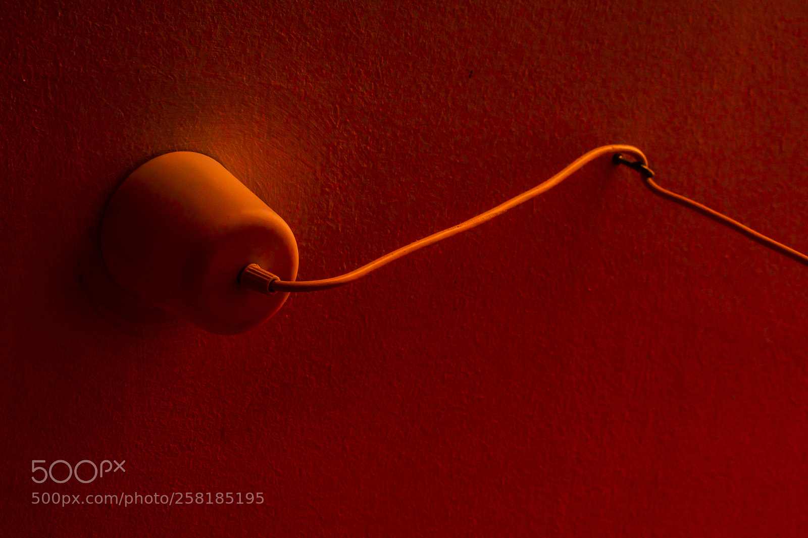Nikon D5300 sample photo. Red photography