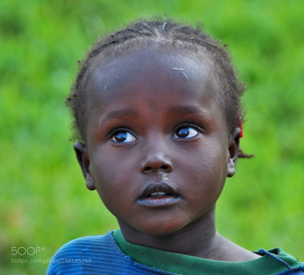 Nikon D80 sample photo. Img photography