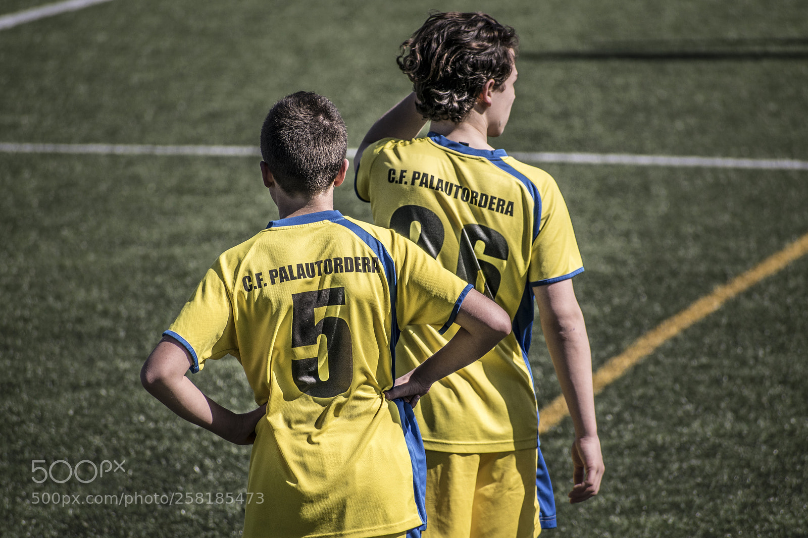 Nikon D5300 sample photo. Football photography