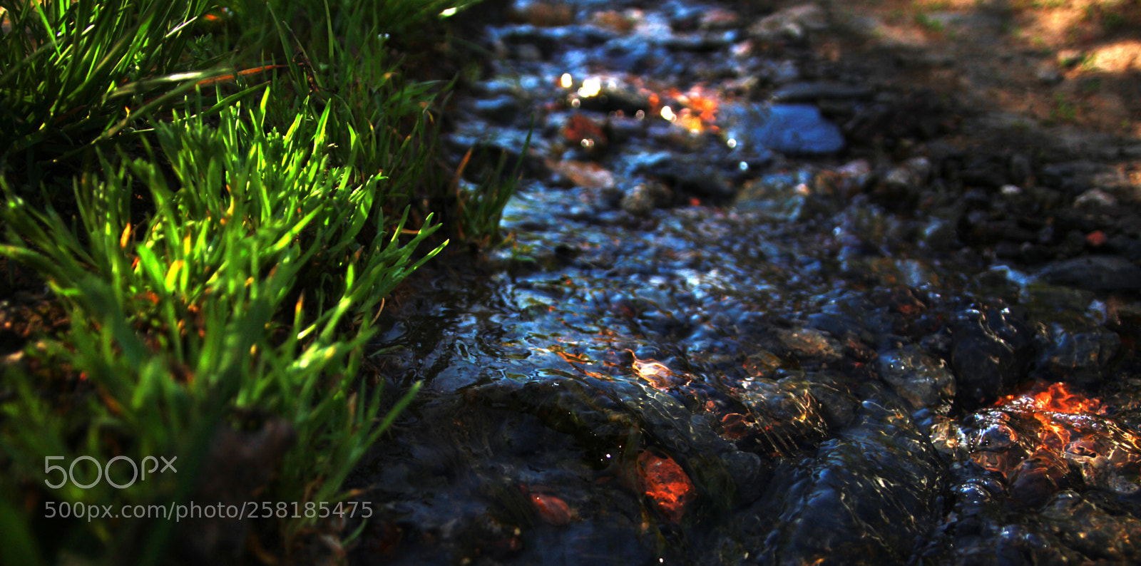 Canon EOS 7D sample photo. Micro-river photography