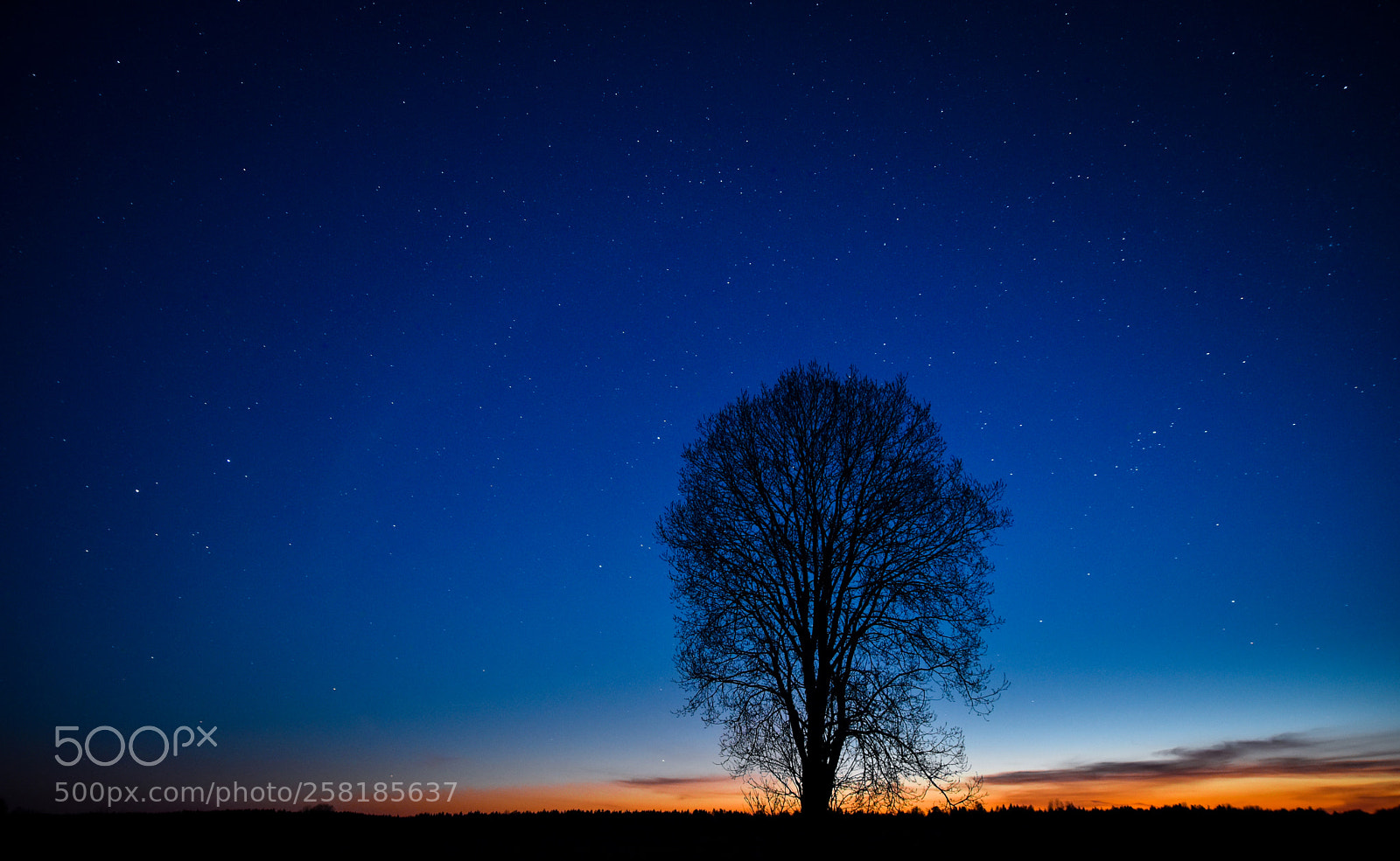 Nikon D5500 sample photo. Stargazing photography