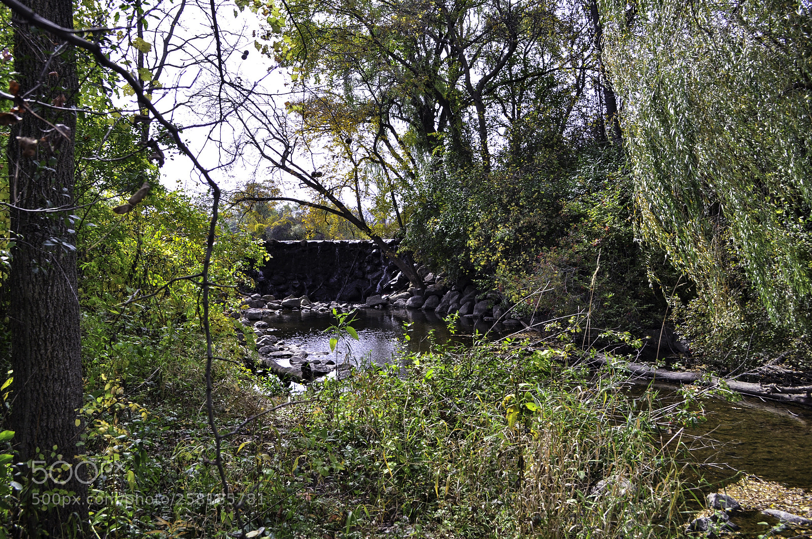 Nikon D5000 sample photo. Whitnall park waterfall photography