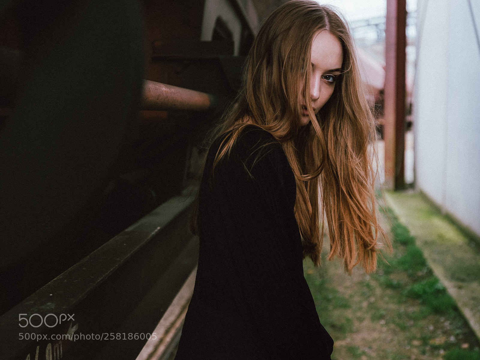 Fujifilm GFX 50S sample photo. Tabea photography
