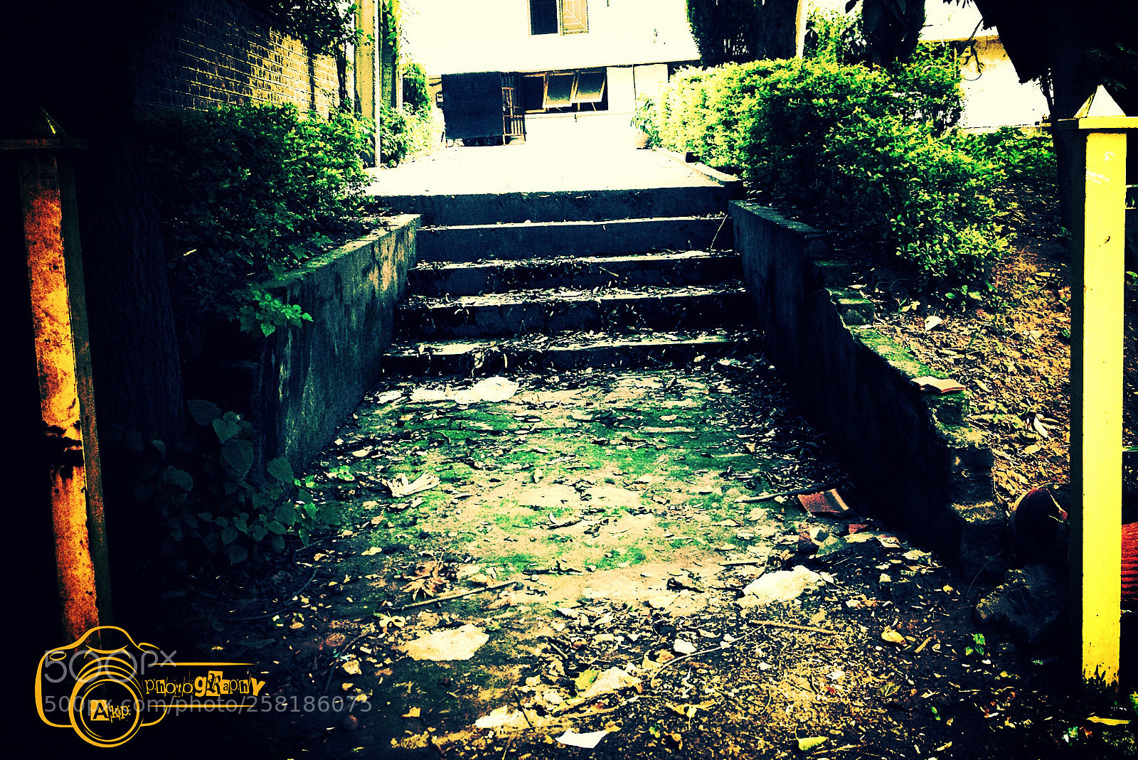 Apple iPhone 4S sample photo. Path photography