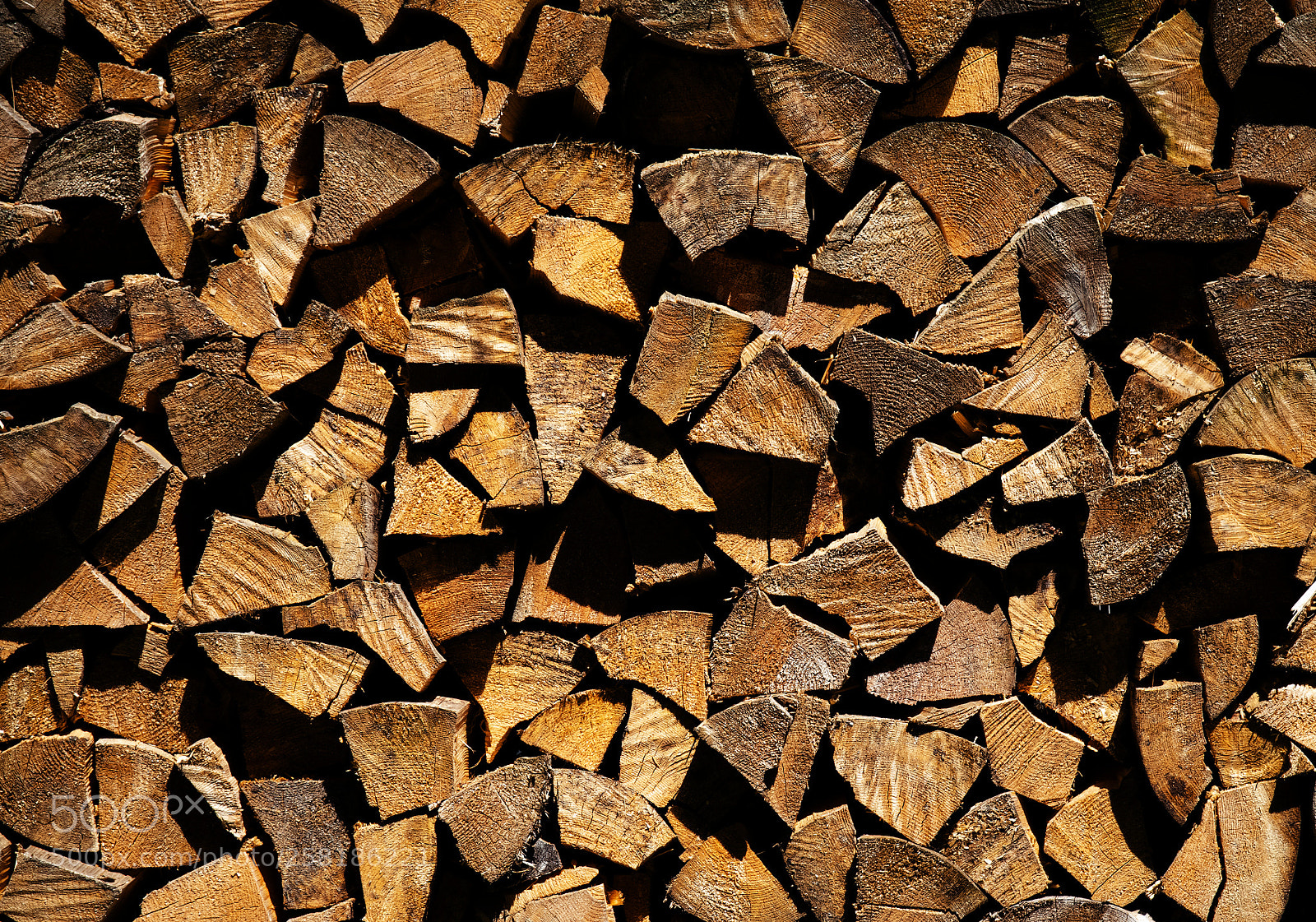 Nikon D5500 sample photo. Cracked wood on top photography