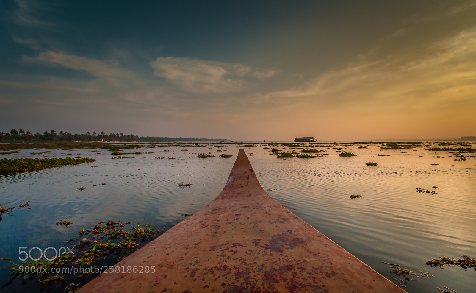 Canon EOS 5D Mark II sample photo. Allapuzha photography