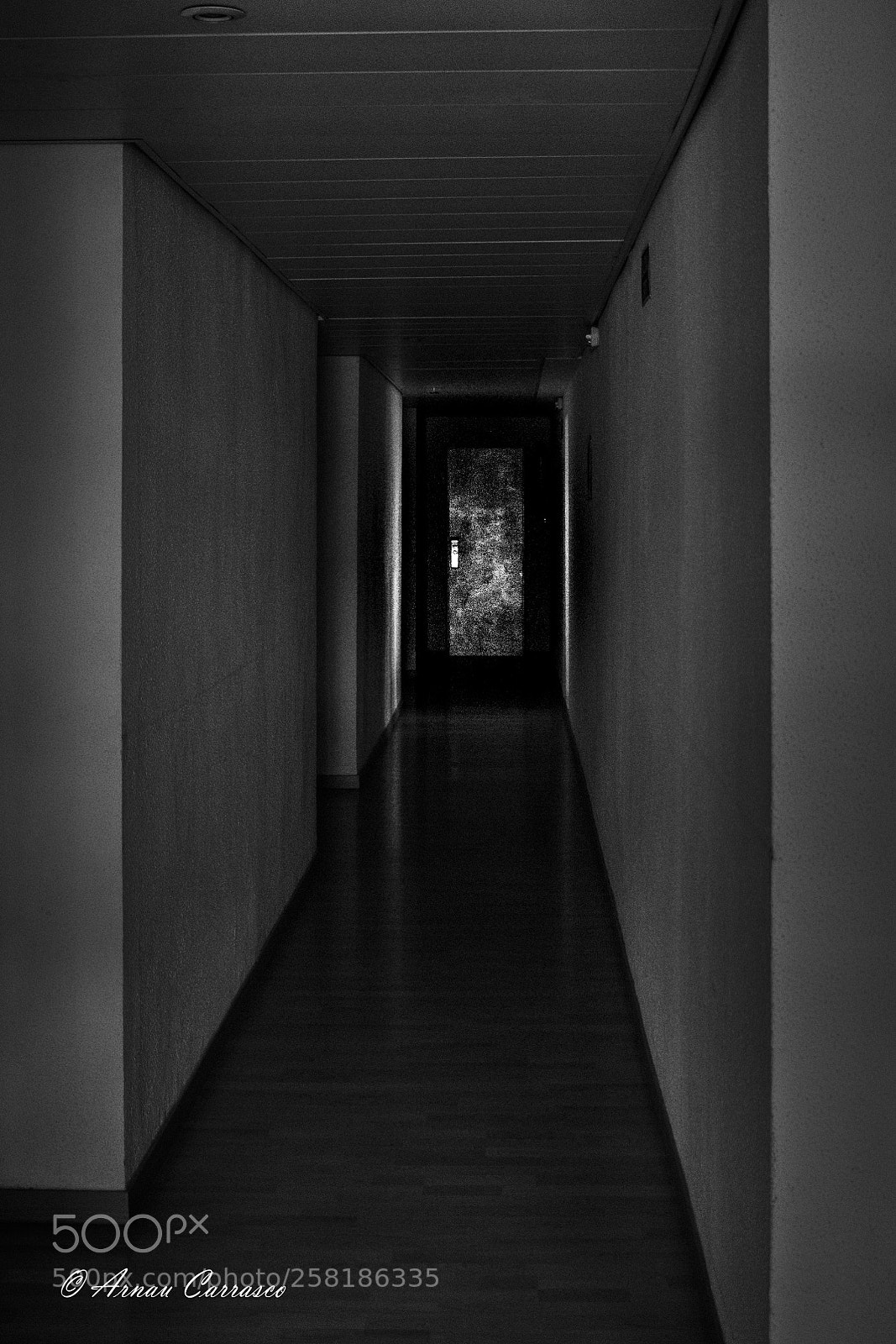 Nikon D5300 sample photo. Abstract photography