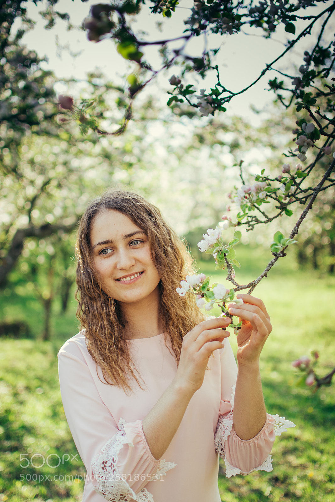 Nikon D610 sample photo. Яблочный сад photography