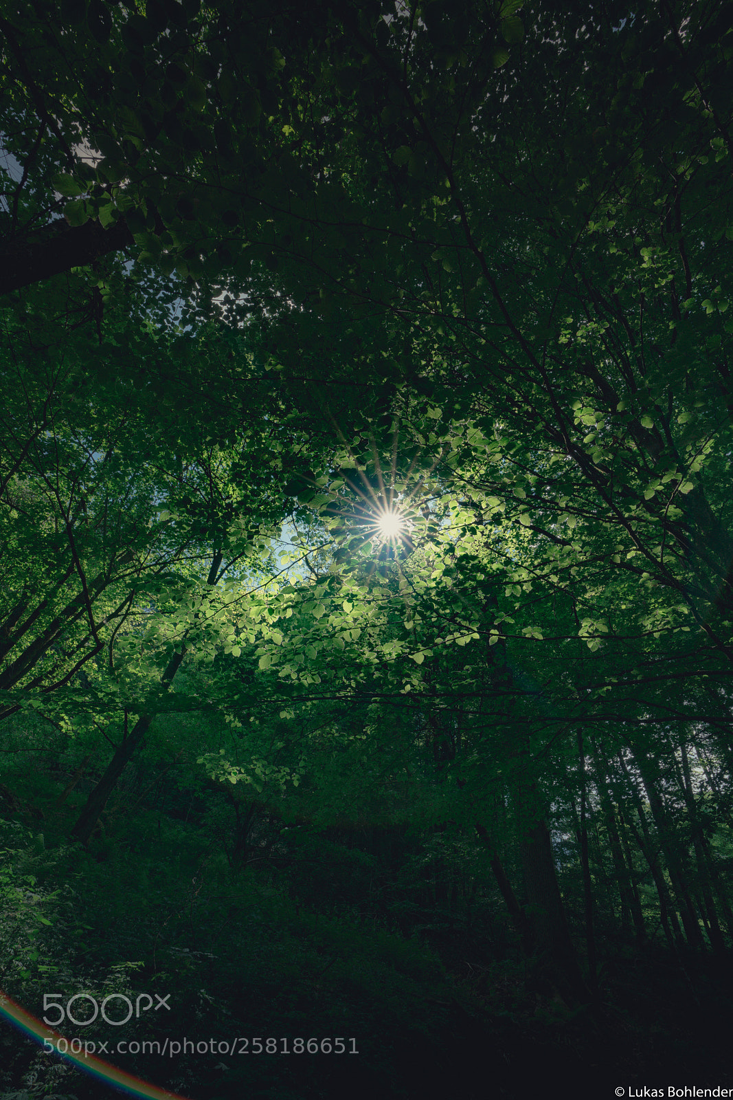 Sony a7R II sample photo. Sunbeam, rhön photography