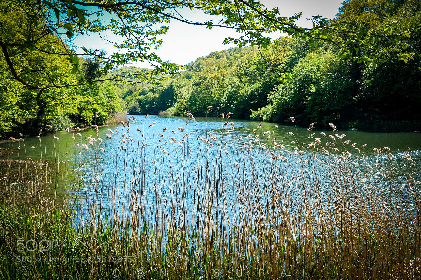 Canon EOS 80D sample photo. Belgrad ormanları photography