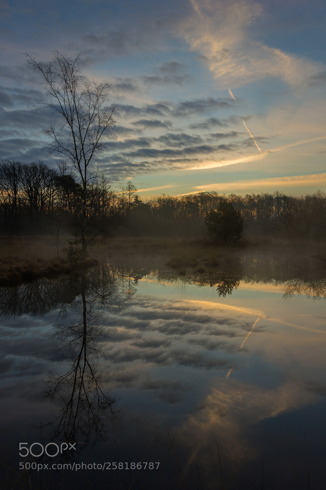 Canon EOS 550D (EOS Rebel T2i / EOS Kiss X4) sample photo. The sun rises over photography