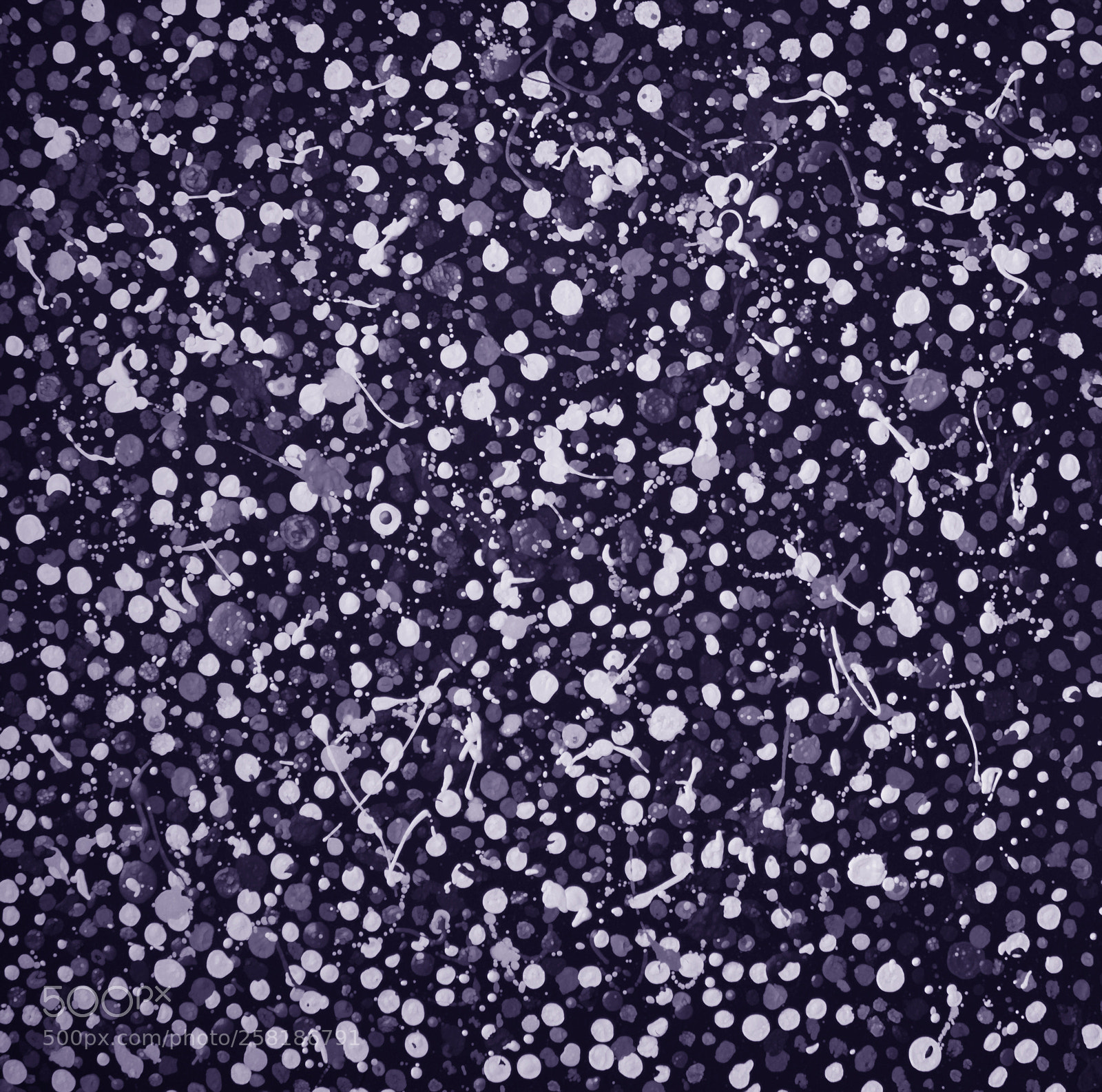 Canon EOS 650D (EOS Rebel T4i / EOS Kiss X6i) sample photo. Violet drops photography