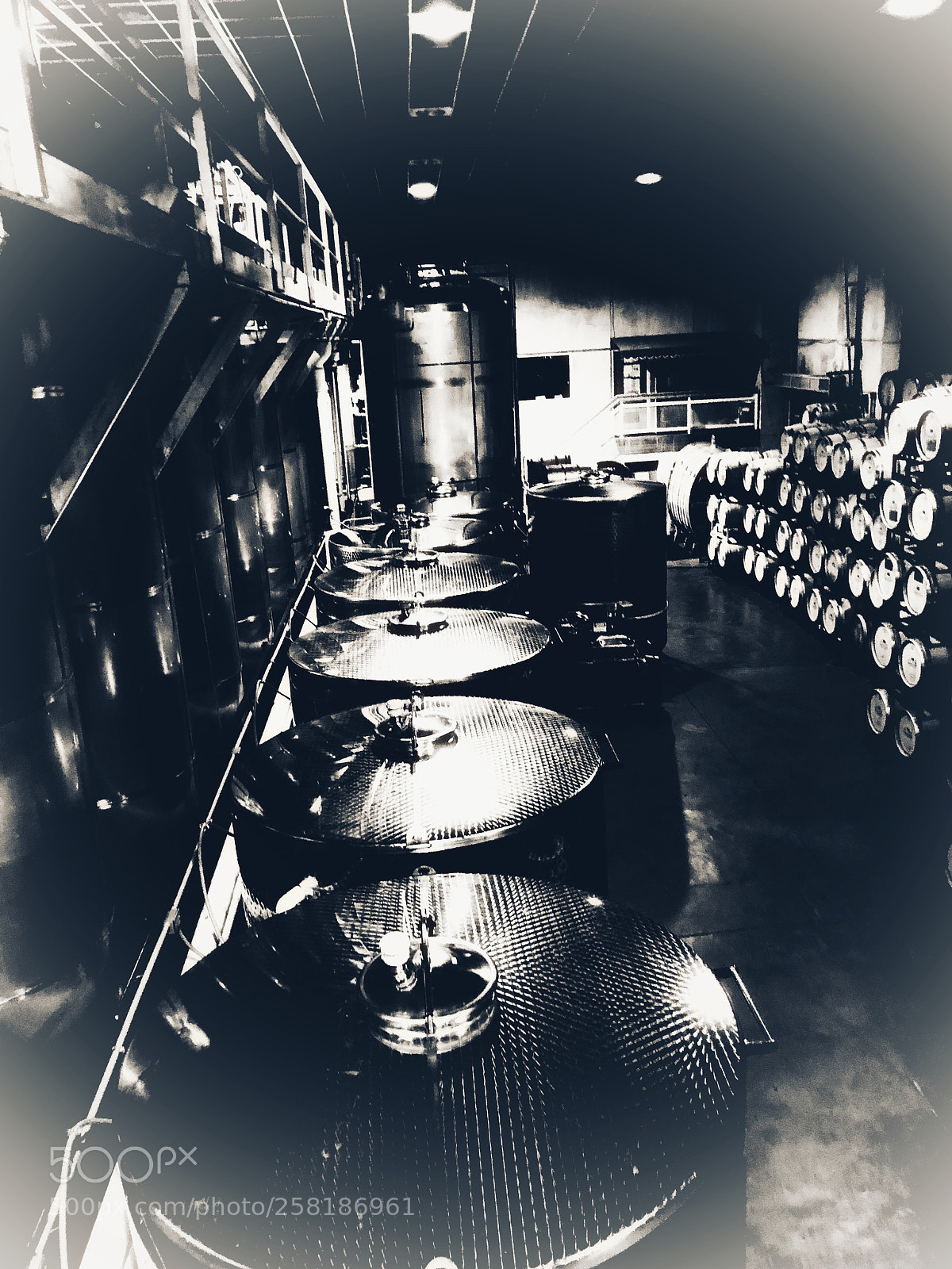 Apple iPhone X sample photo. Distill photography