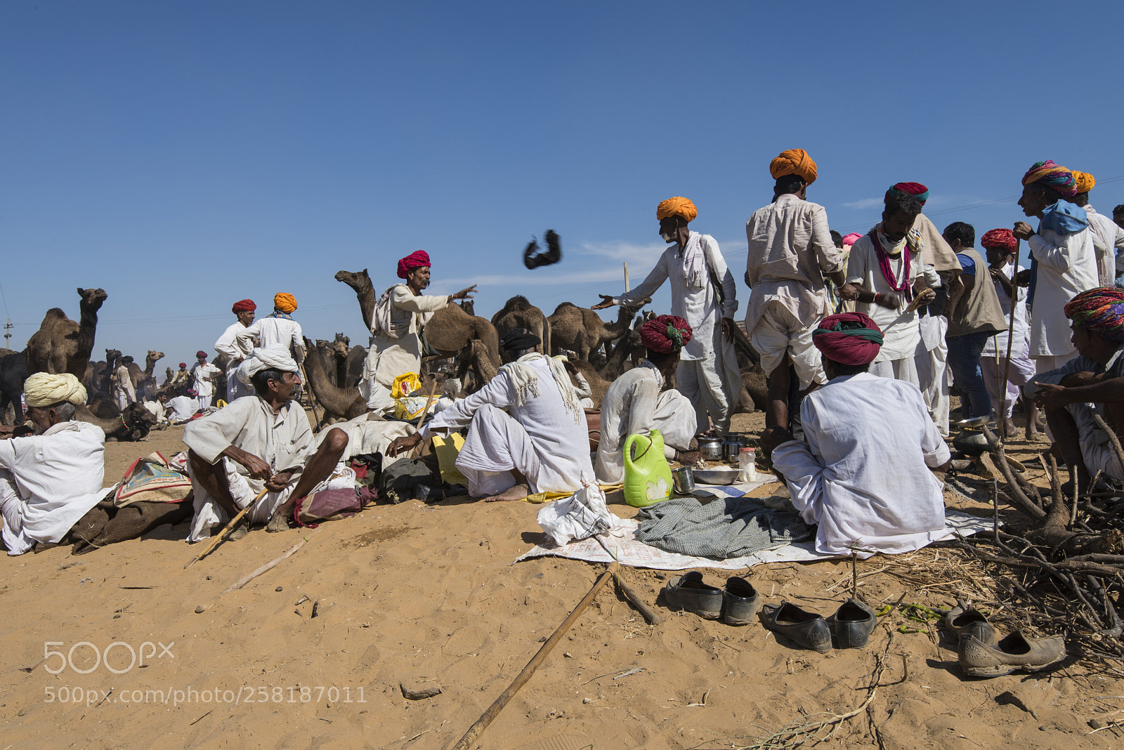 Nikon D810 sample photo. At the camel fair photography