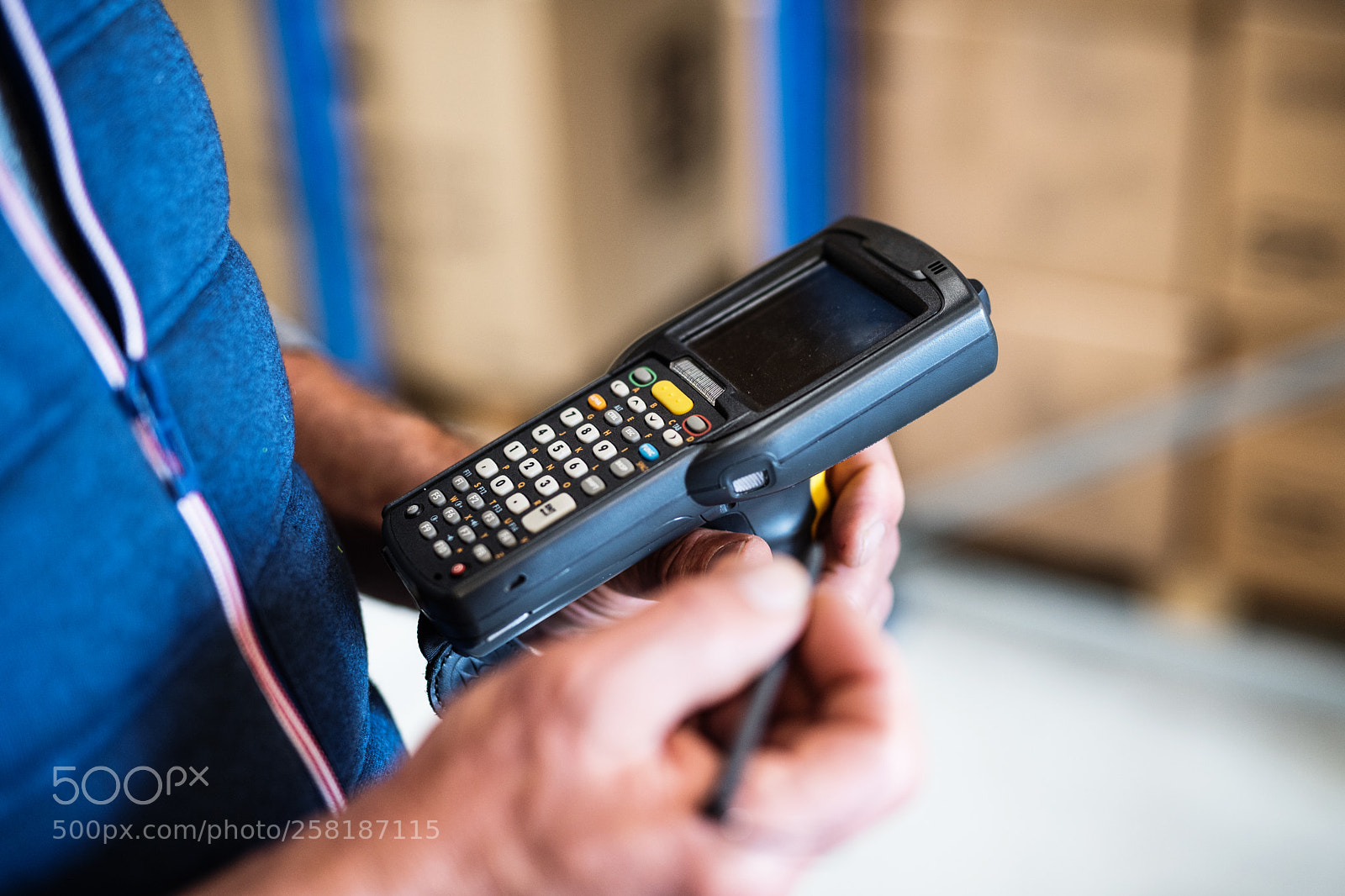Nikon D5 sample photo. Male warehouse worker with photography