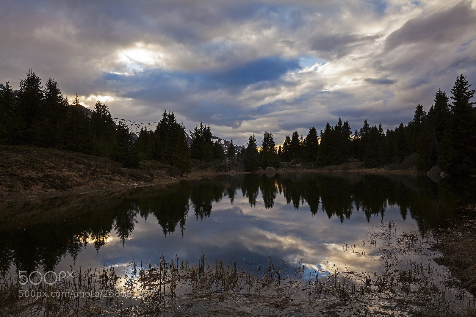 Canon EOS 5D Mark II sample photo. Alp flix photography